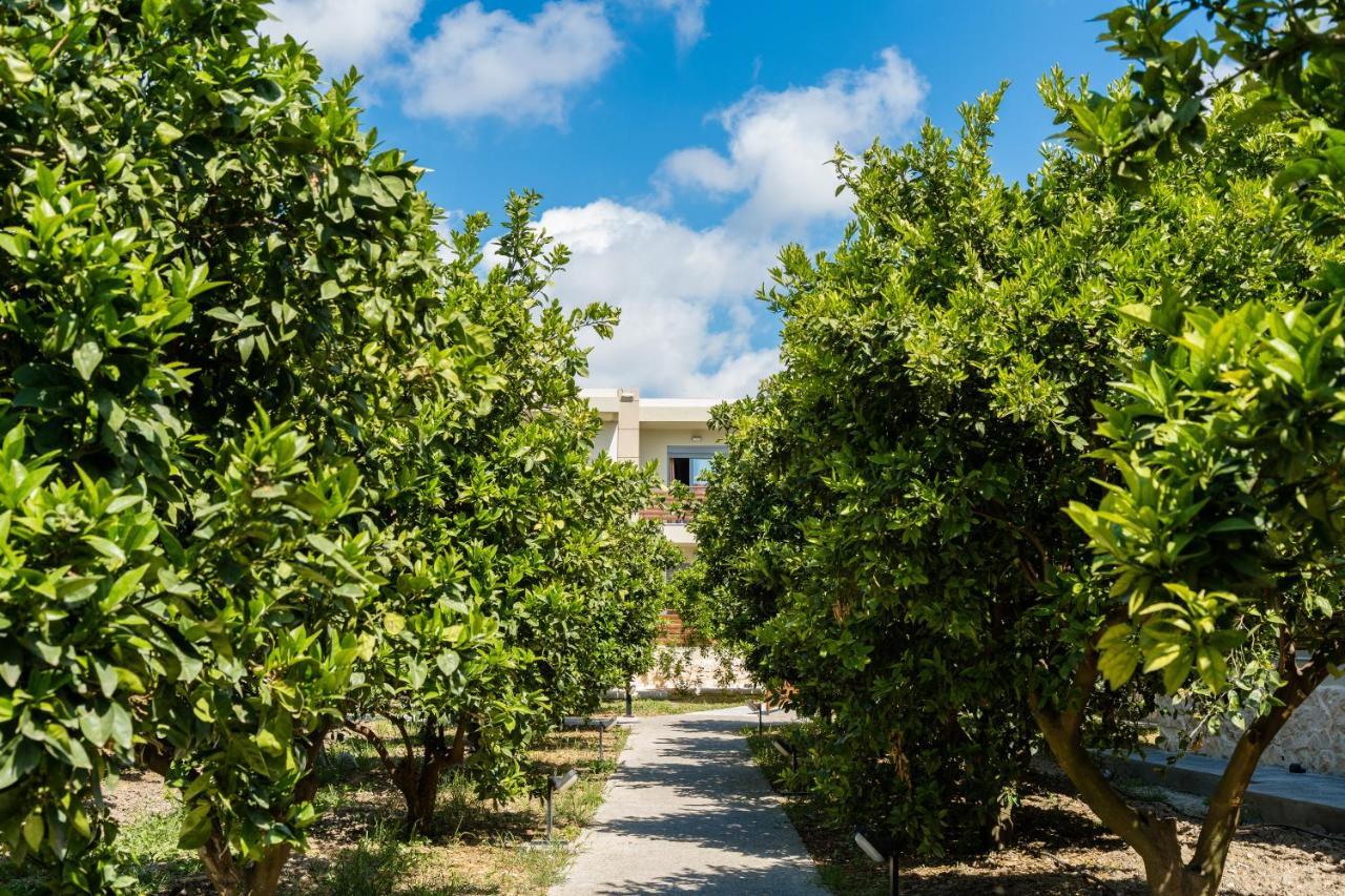 Ilyssion Holidays Hotel Ialysos  Exteriör bild